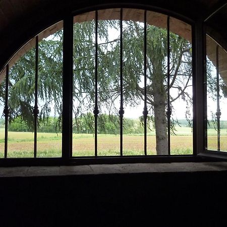 Agriturismo La Segolina コッレ・ヴァル・デルザ エクステリア 写真