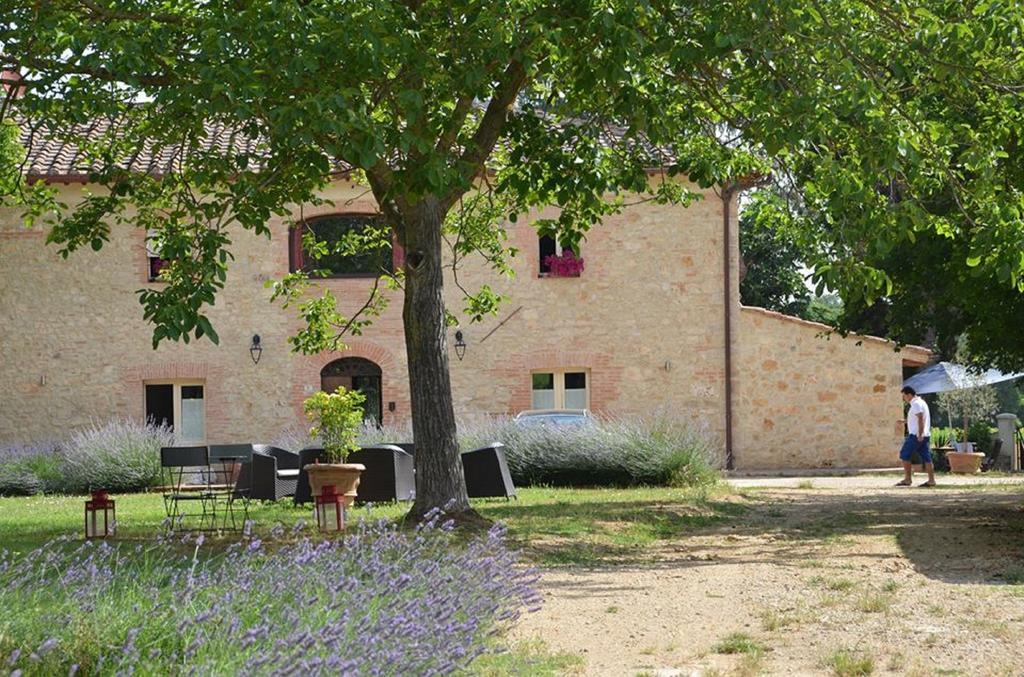 Agriturismo La Segolina コッレ・ヴァル・デルザ エクステリア 写真
