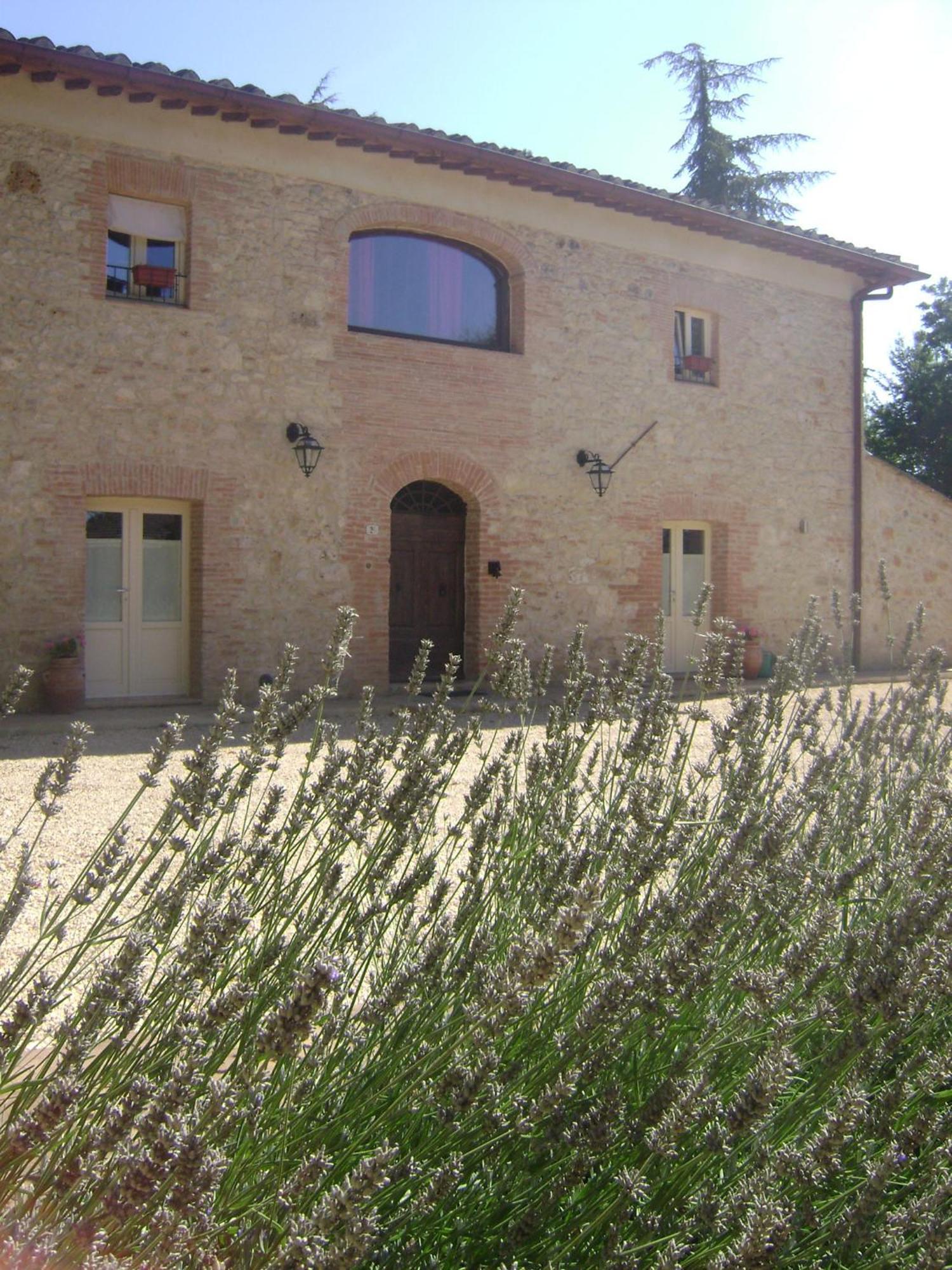 Agriturismo La Segolina コッレ・ヴァル・デルザ エクステリア 写真