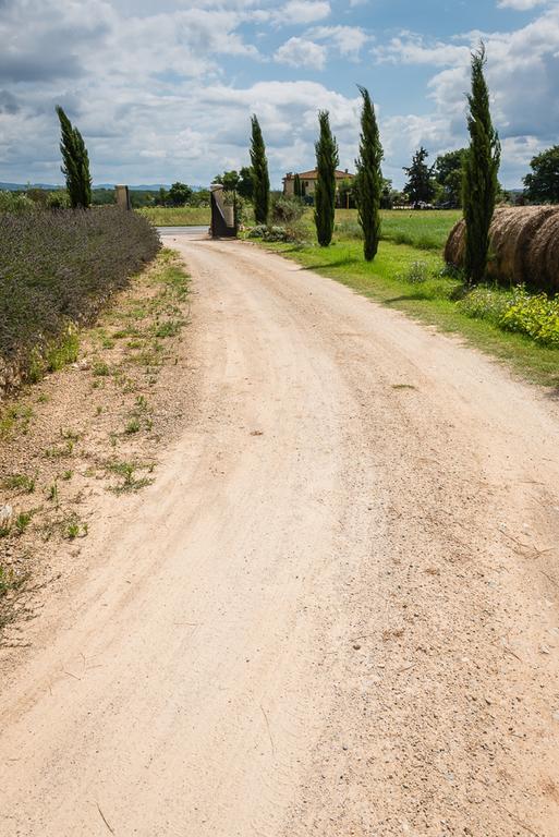 Agriturismo La Segolina コッレ・ヴァル・デルザ エクステリア 写真